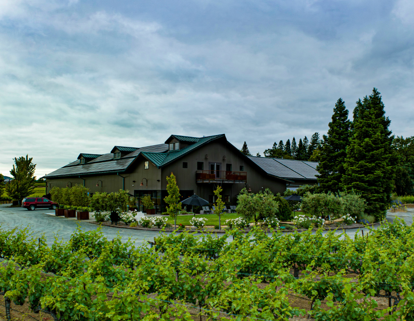 Limestone | Russian River Valley Chardonnay